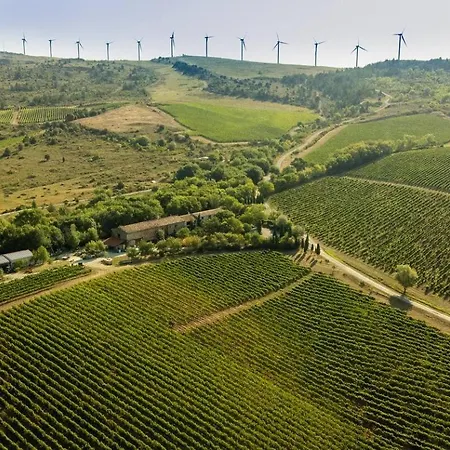 Maison - Piscine - Vue Vignobles Coeur De Nature *