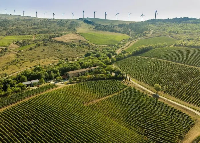 Maison - Piscine - Vue Vignobles Coeur De Nature *